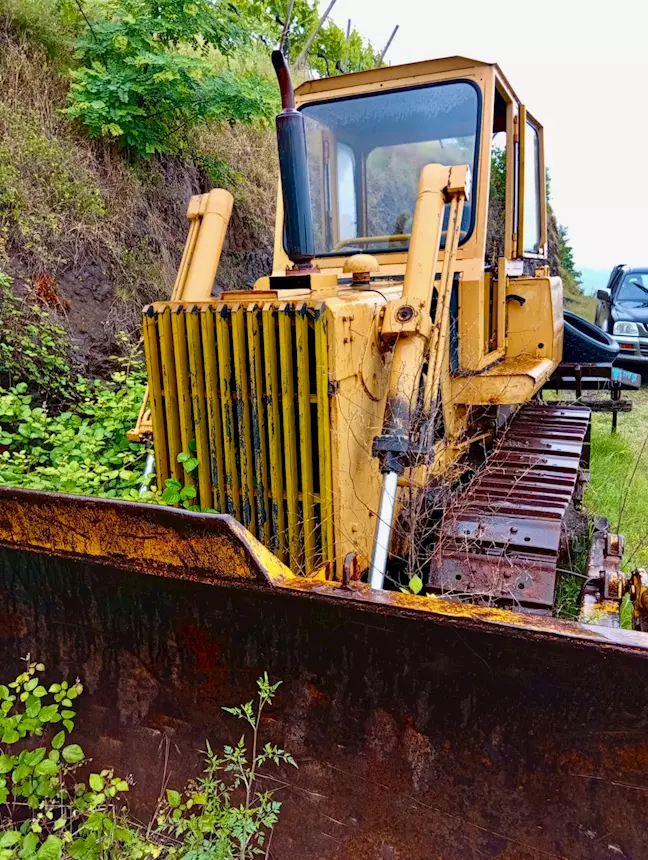 Foto 4Dozer cingolato Anno 1980 Ore 7052