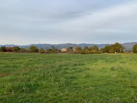 Terreno agricolo ad Agliana - PT