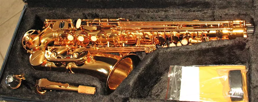 Foto 6SELMER SA80 Style Sax Alto Oro Galvanico Nuovo (Garanzia), modello unbranded