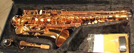 SELMER SA80 Style Sax Alto Oro Galvanico Nuovo (Garanzia), modello unbranded - Anteprima 6