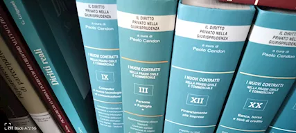 Libri di Diritto in Vendita