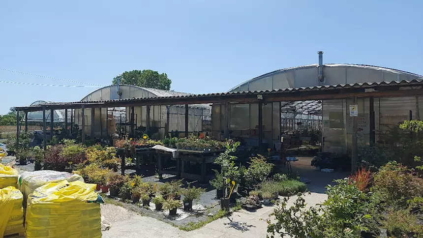 Azienda avviata ortoflorovivaistica / Vivaio