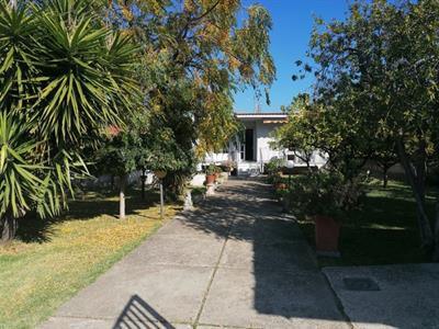 Foto - 10