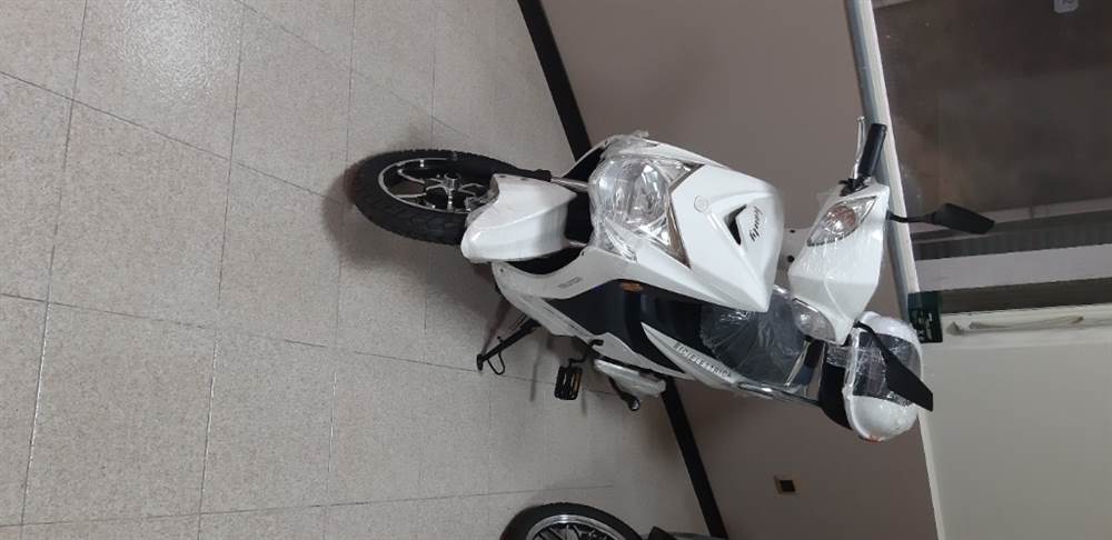 Biciclettata Tipologia elettrica