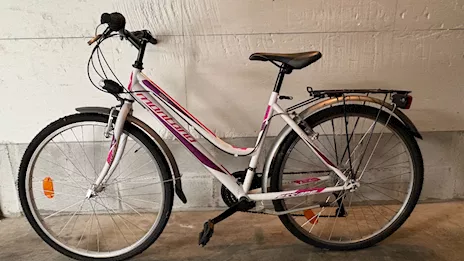 Mountain bike da ragazza Montana Escape