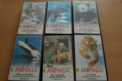 Videocassette VHS funzionanti, 20 VHS