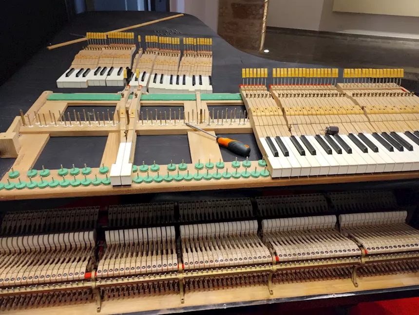 Foto 5Accordatore e manutentore di pianoforti