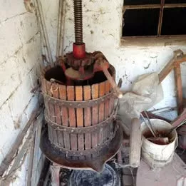 Torchio per uva