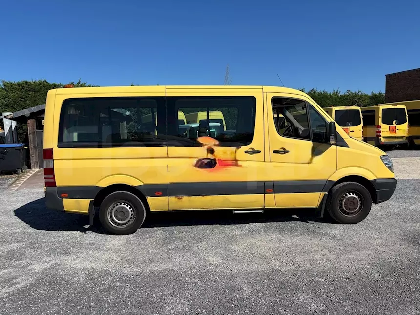 Foto 3Mercedes-Benz Sprinter, 2008, 9 posti, Euro 4, km 409.413, cambio: manuale