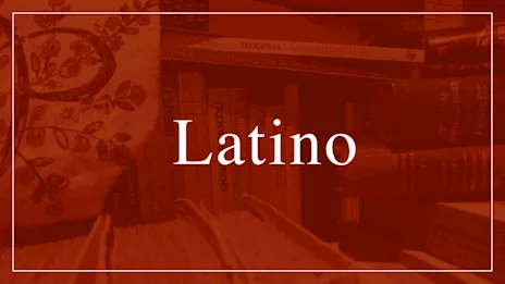 Debito in latino Recupero assicurato