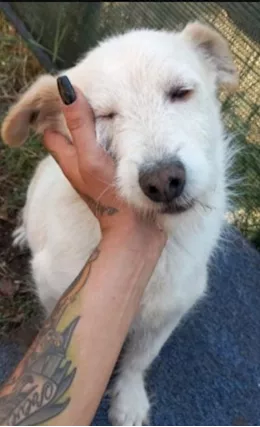 9/10 anni meraviglioso tg piccola Abruzzo