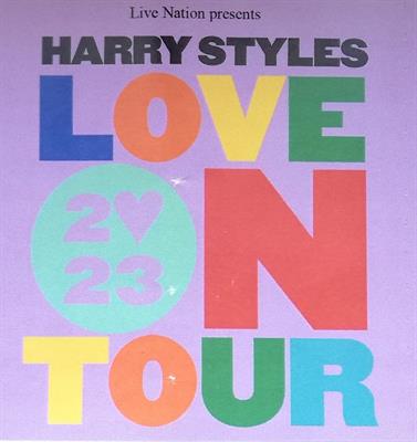 Concerto Harry Styles-blue zone
