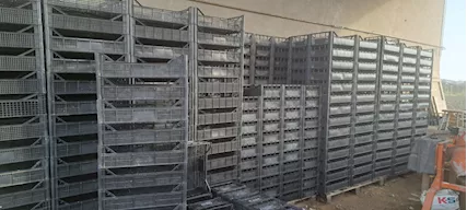 Cassette per ortofrutta - Foto 2