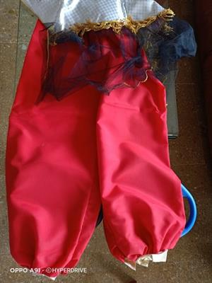 Vestito di Carnevale per Donna, marca Rio, taglia 44 - Anteprima 2