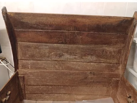 Madia abruzzese - Foto 5