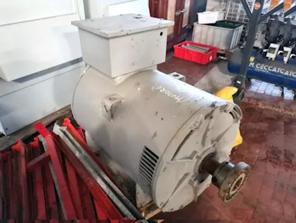 Compressore per motori ad ammoniaca ip20 usato, modello C3C3131AA023 - Foto 4