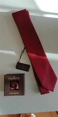 Cravatta + pochette bordeaux