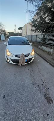 Foto - 9