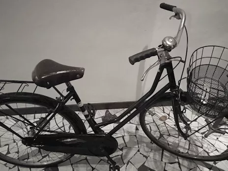 Bici mod. olandese perfettamente funzionante