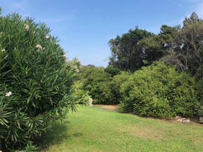 PORTO ROTONDO RESIDENCE JUNIPERUS - Foto 4