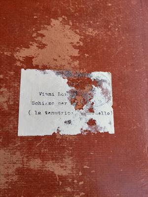 Lorenzo Viani - Foto 2