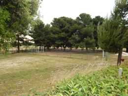 Foto - 9