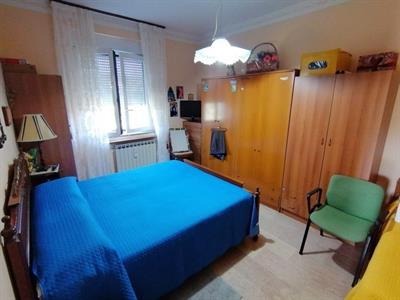 Foto - 7