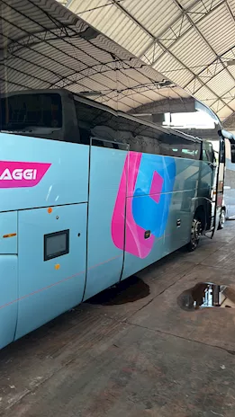 Magelys Pro cambio automatico