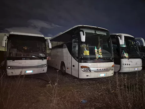 Autista bus e minibus