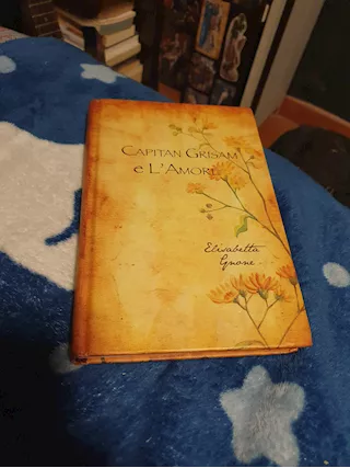 Capitan Grisam e l'Amore di Elisabetta Gnone