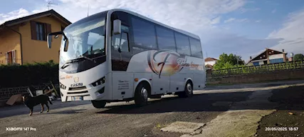 Isuzu Novo Ultra Euro 6