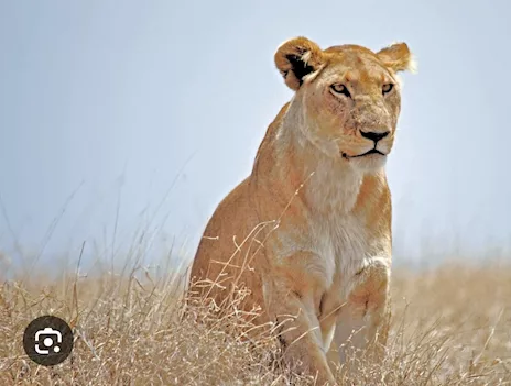 Prendersi cura - Foto 5