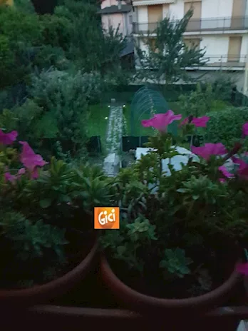 Quadrilocale in vendita a Pinasca Dubbione (TO) Piemonte