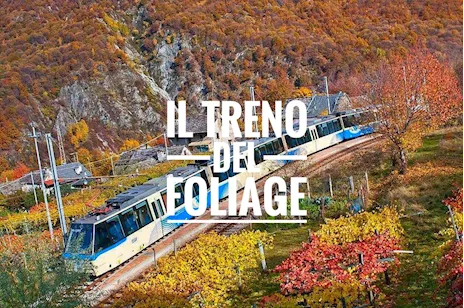Condividi 2 Biglietti treno del foliage Domodossola-Locarno