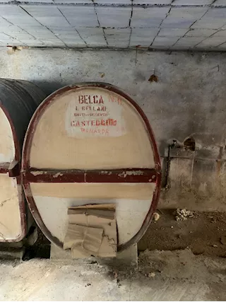 Botti di vino