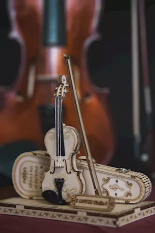Violino Capriccio realizzato artigianalmente a mano