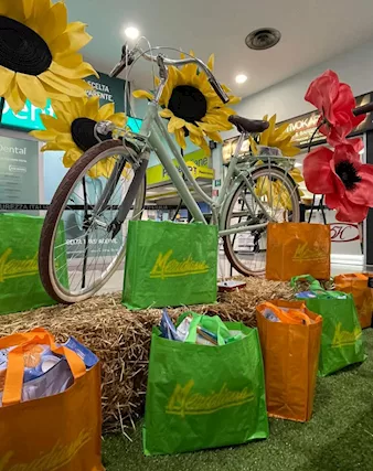 Allestimento vetrine fiori giganti