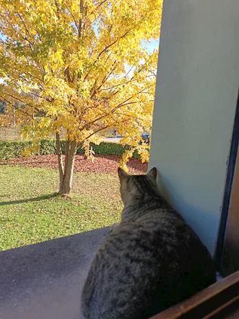 Prendersi cura - Foto 3