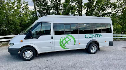 Ford Transit 17 posti
