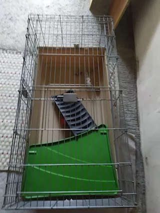 Gabbia per roditori o altri animali - Foto 5