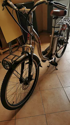 Bici elettrica a pedalata assistita 26