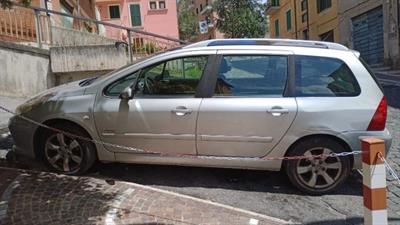 Peugeot 307 Australian sw