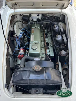 Foto - 11