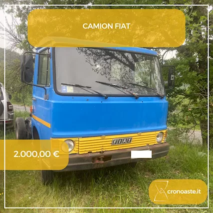 Camion Fiat