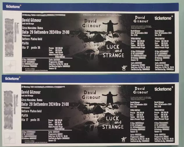 Due biglietti concerto David Gilmour