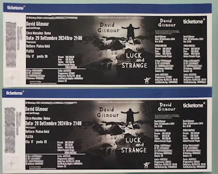 Due biglietti concerto David Gilmour