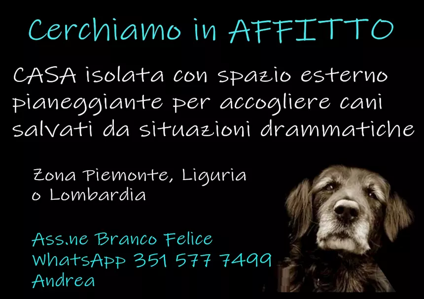 Cascina - Cerchiamo una casa/cascina in affitto