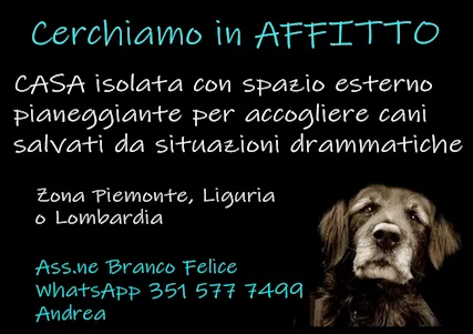Cascina - Cerchiamo una casa/cascina in affitto