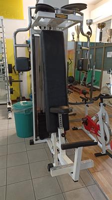 Pectoral Machine serie LUX bianca usata Attrezzi Bodybuilding, in ottime condizioni - Foto 2