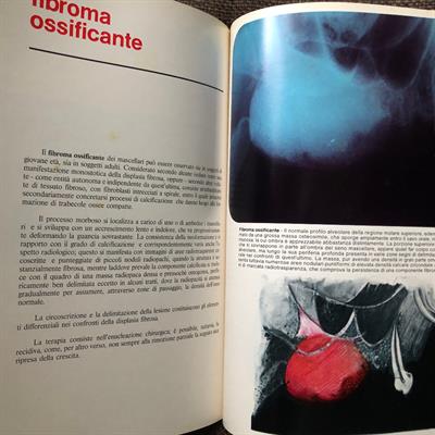 Radiologia odontostomatologica